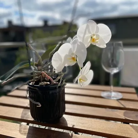 Apartamento Cozy 2-room - Self Check-in, Free Parking Tartu